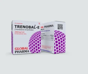 TRENOBAL-E.png TRENOBAL-E